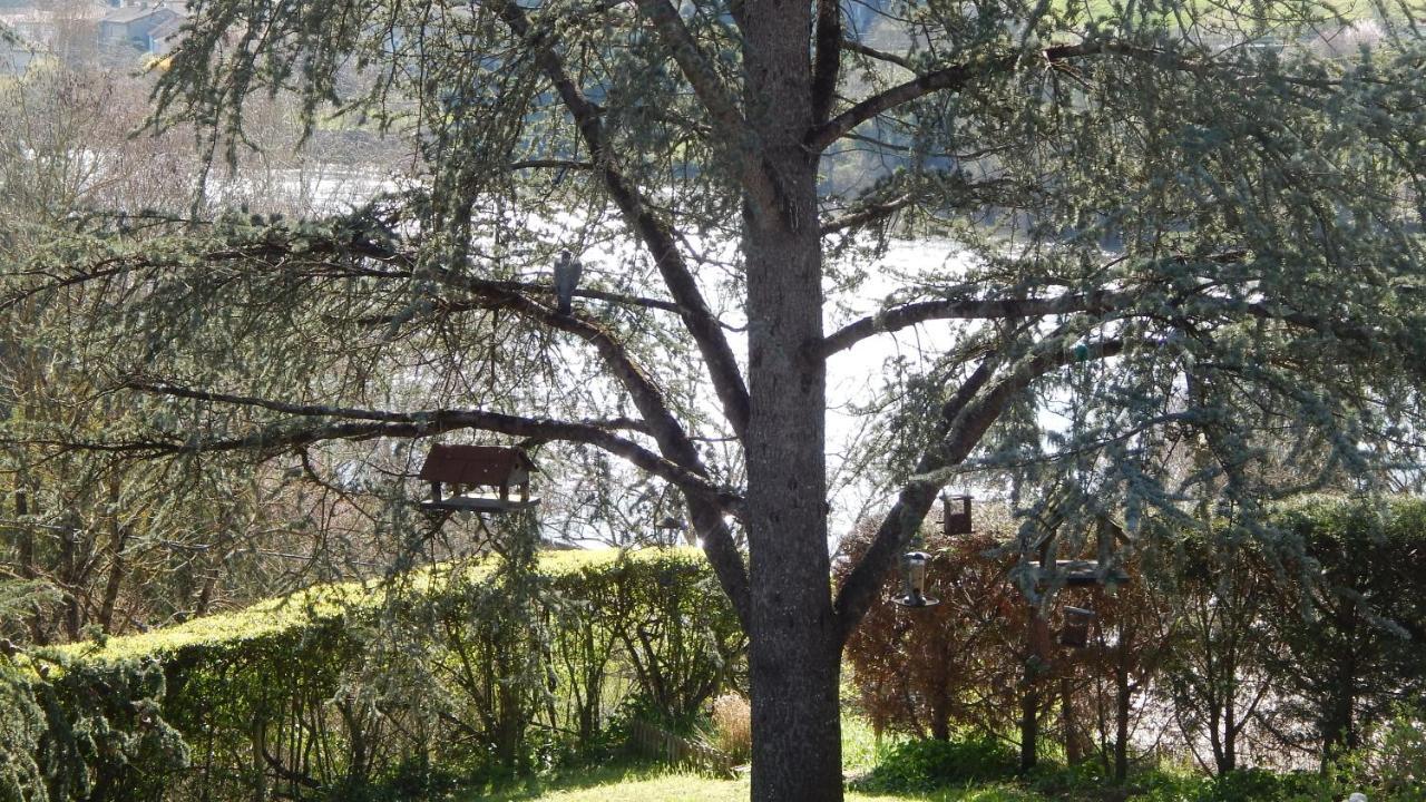 The Petite Chalet Chambre D'Hotes L'Isle-Jourdain  Exterior photo
